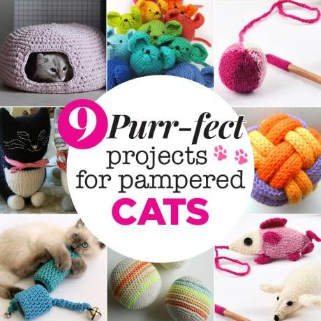 9 purr-fect projects for pampered cats