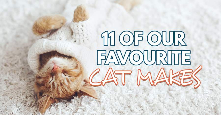 11 Of Our Favourite Cat Makes