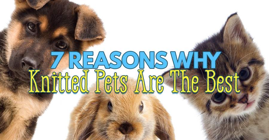 7 REASONS WHY KNITTED PETS ARE THE BEST