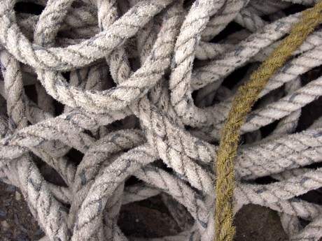 5 knots we can’t live without!