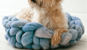 Arm Knit Pet Bed