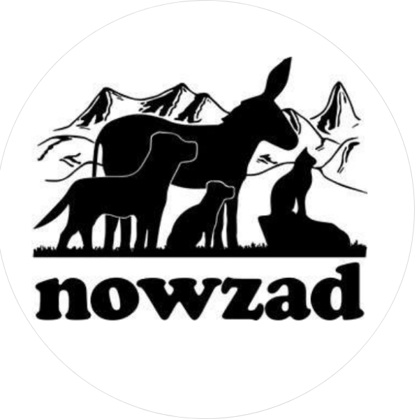 Baby Patterns Category