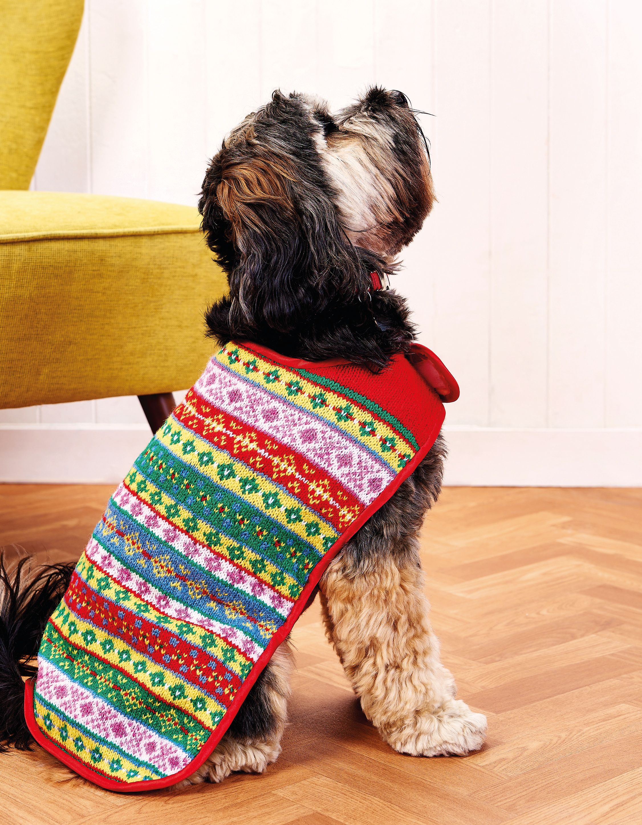 Fair Isle Dog Coat Free Knitting Patterns Let S Knit