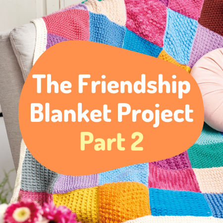 The Friendship Blanket Project: Part 2 crochet Pattern