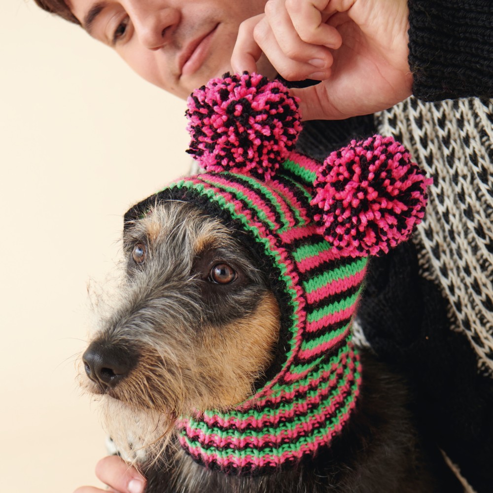 Tom Daley Knitted Dog Hat, Knitting Patterns