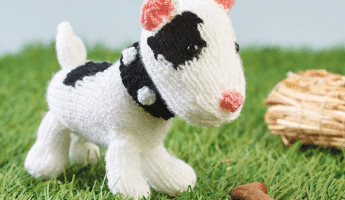 Knitted Dog Collection: Star the Bull Terrier