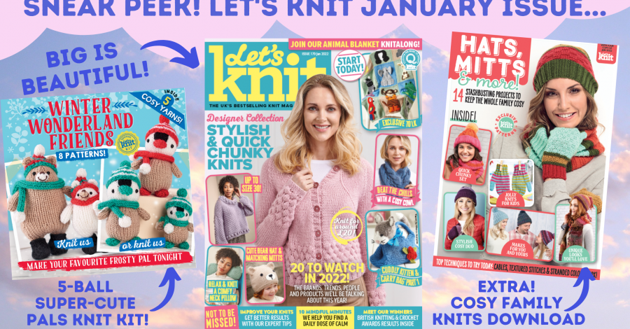 Sneak peek of Let’s Knit issue 179 January