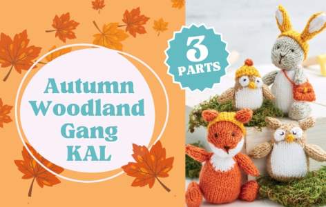 Woodland Gang Knitalong