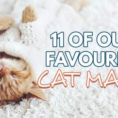 11 Of Our Favourite Cat Makes