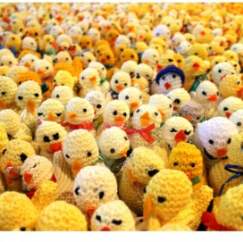 Charity We Love: Francis House Easter Chick Appeal