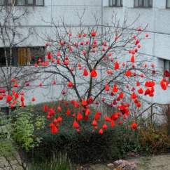 Knitters join forces with the NHS to promote blood donation
