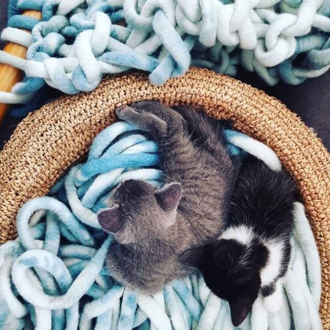 7 Inspiring Knitters Setting Instagram Alight Knitting Blog