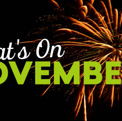 What’s On November?
