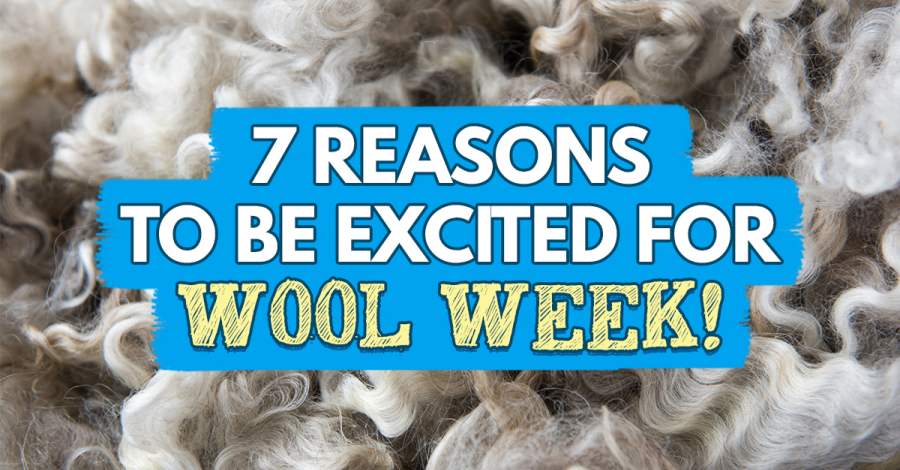 7 Reasons To Be Excited For Wool Week