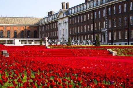 Knitted and crocheted poppies take centre stage at Chelsea Flower Show