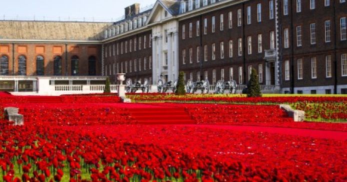 Knitted and crocheted poppies take centre stage at Chelsea Flower Show Knitting Blog