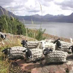 Julia Marsh: How Buying Sheep Changed My Life