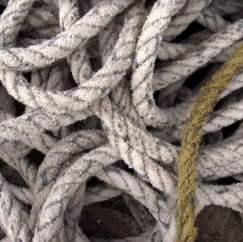 5 knots we can’t live without!