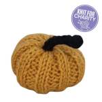 Knitted Pumpkin Pattern | Arthur Rank Hospice Charity Knitting Pattern