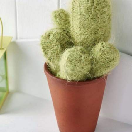 Stylish Home Knits: Cactus and Knitted Picture Knitting Pattern