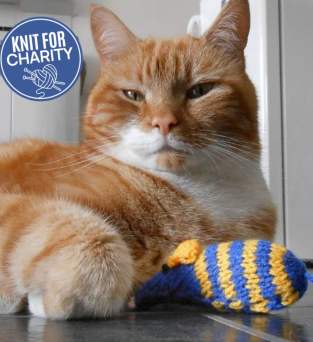 Catnip Mouse Toy | Cats Protection Charity Pattern Knitting Pattern