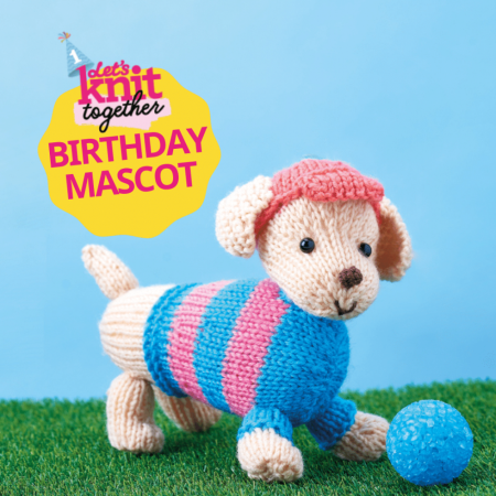 Dachshund Birthday Mascot Knitting Pattern