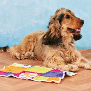 Dog Blanket Knitting Pattern