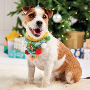 Festive Dog Hat And Bandana Pattern Knitting Pattern