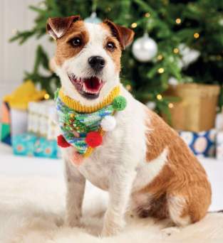Festive Dog Hat And Bandana Pattern Knitting Pattern