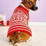 Easy Fair Isle Dog Coat Knitting Pattern