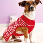 Easy Fair Isle Dog Coat Knitting Pattern
