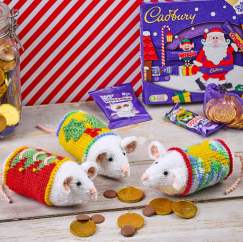 Festive Mice Sweetie Gifts Knitting Pattern Knitting Pattern