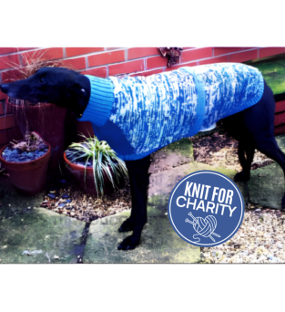 Wetnose Animal Aid Dog Coat | Charity Knitting Pattern Knitting Pattern