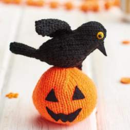 Halloween Pumpkin and Crow Knitting Pattern Knitting Pattern