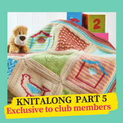 Little Birdie Blanket Knitalong