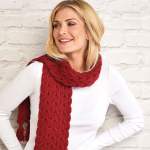 Let’s Knit Together Member’s Mini Mag: Christmas 2026 Knitting Pattern
