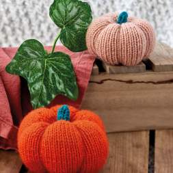Beginner Pumpkins Knitting Pattern Knitting Pattern
