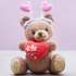 Love Bug Valentine’s Bear Knitting Pattern Knitting Pattern