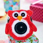 Lens buddy Knitting Pattern