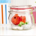 Goldfish bowl Knitting Pattern