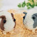 Easy Knitted Guinea Pigs Knitting Pattern