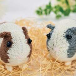 Easy Knitted Guinea Pigs Knitting Pattern