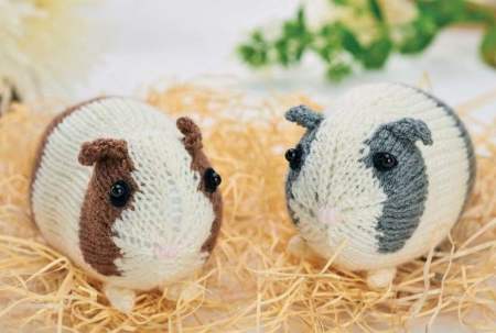 Easy Knitted Guinea Pigs Knitting Pattern