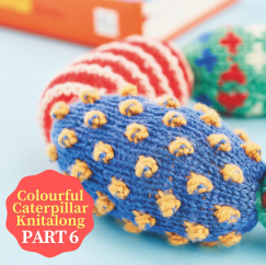 Colourful Caterpillar Knitalong Part 6 Knitting Pattern