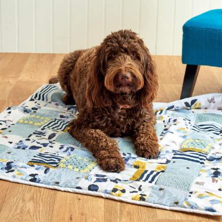 Pet Blanket Craft-Along: Part Three crochet Pattern