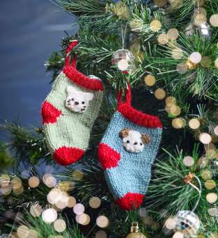 Pet Mini Stockings Knitting Pattern Knitting Pattern