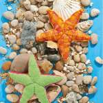 Starfish Toys Knitting Pattern