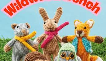The Wildwood Bunch | Mini Animal Toy Knitting Pack