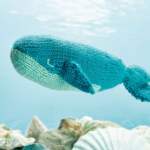 Wendy Whale Knitting Pattern
