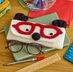 Bear glasses case Knitting Pattern
